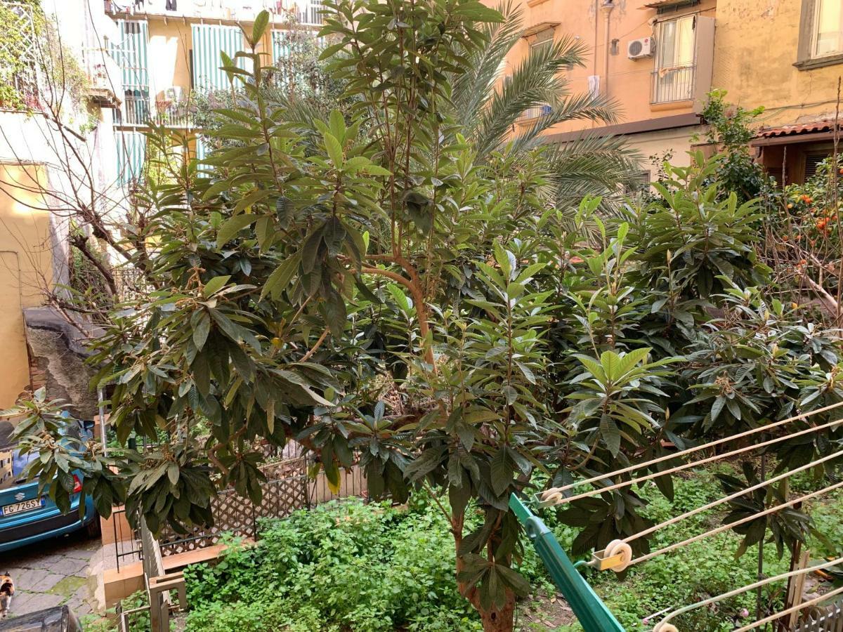 Da Ninetta Resterete Senza Parole, Garantito! Наполи Екстериор снимка
